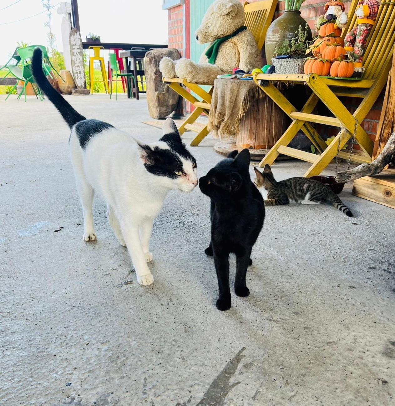 Cat Sky Country Homestay Sanxing Exterior photo